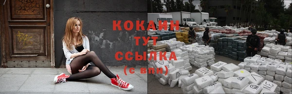 спиды Ростов