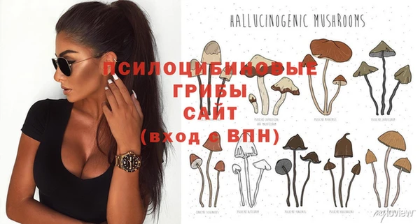 Альфа ПВП Приозерск