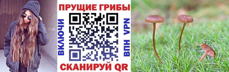 Галлюциногенные грибы Magic Shrooms  Купить закладки  Ульяновск 